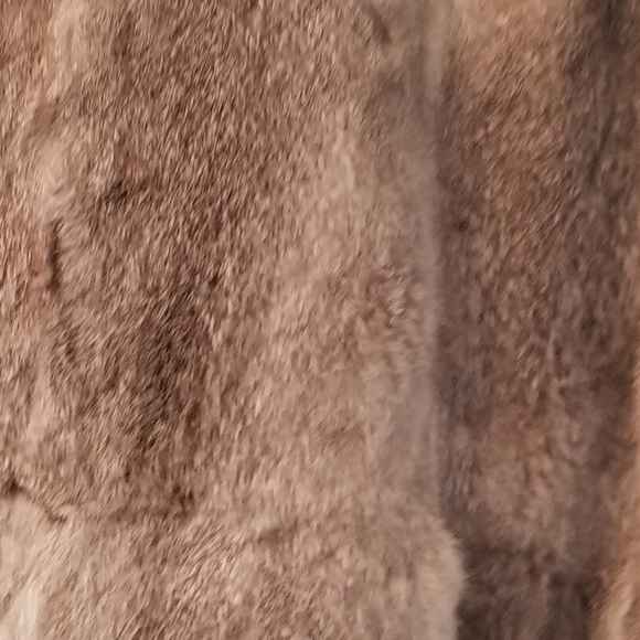 Coat - Picture 4 of 5